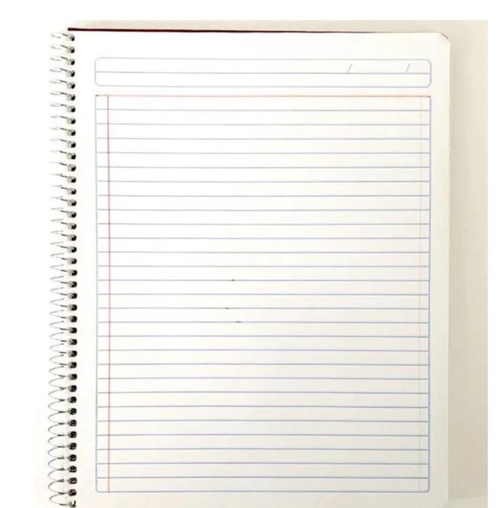 Cuaderno Profesional/ raya/ Espiral Sencillo/ C/100 Hojas/Drop 009