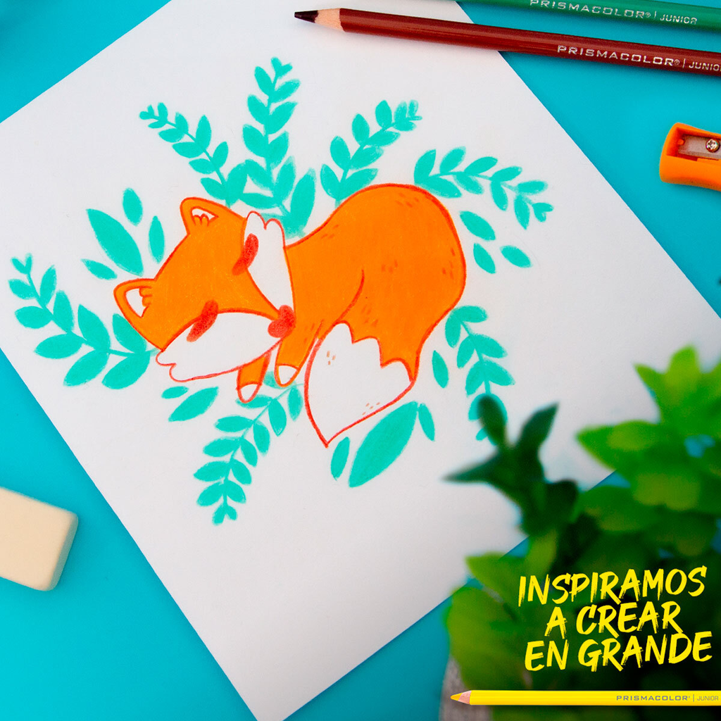 48 Lápices de Colores Prismacolor 2 Pqts 24 pzas c/u Drop 002