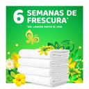 Detergente Líquido Gain Original 2.6 L Drop012
