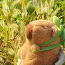 Capibara Peluche Juguetes Con Mochila De Tortuga 20 cm