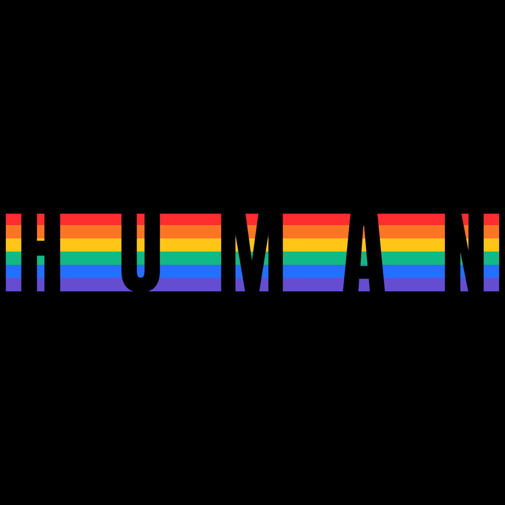 Camisa Gay LGBT Arcoíris Pride Orgullo Human Negra