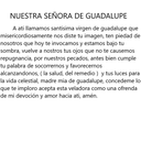 Nuestra Señora De Guadalupe Velas México VM13238