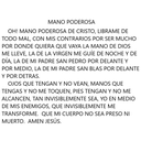 Mano Poderosa Velas México VM13287