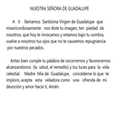 Nuestra Señora De Guadalupe Velas México VM81001