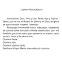 Divina Providencia Velas México VM81005
