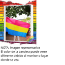 Bandera Pansexual 88.5 X 155 Cm Bandera Pride Orgullo LGBT