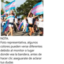 Bandera Transexual 90x150 Cm Orgullo LGBT