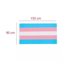 Bandera Transexual 90x150 Cm Orgullo LGBT